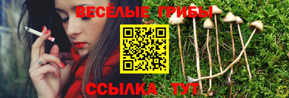 Псилоцибиновые грибы MAGIC MUSHROOMS Дятьково