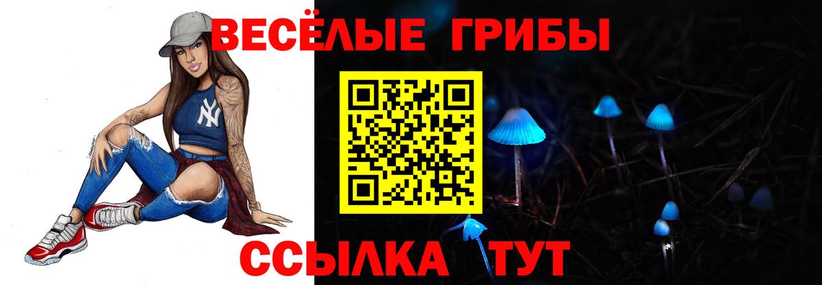 Галлюциногенные грибы мухоморы  Вход с VPN  Дятьково  купить наркоту  Псилоцибиновые грибы GOLDEN TEACHER 